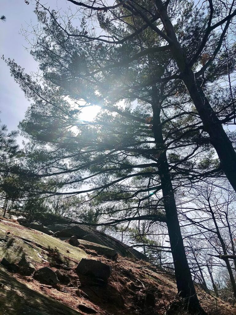 Hope Marshall (SOS: Serpentine Omega S(Centauri))