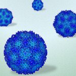 The North Country in 2026 is not the same place it was in 2020.