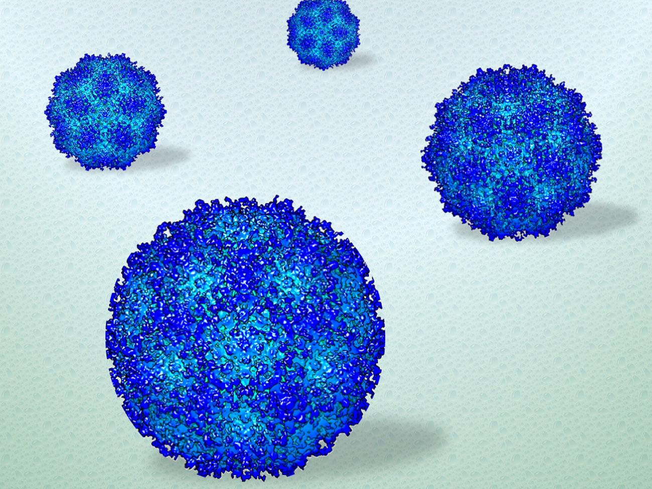 The North Country in 2026 is not the same place it was in 2020.