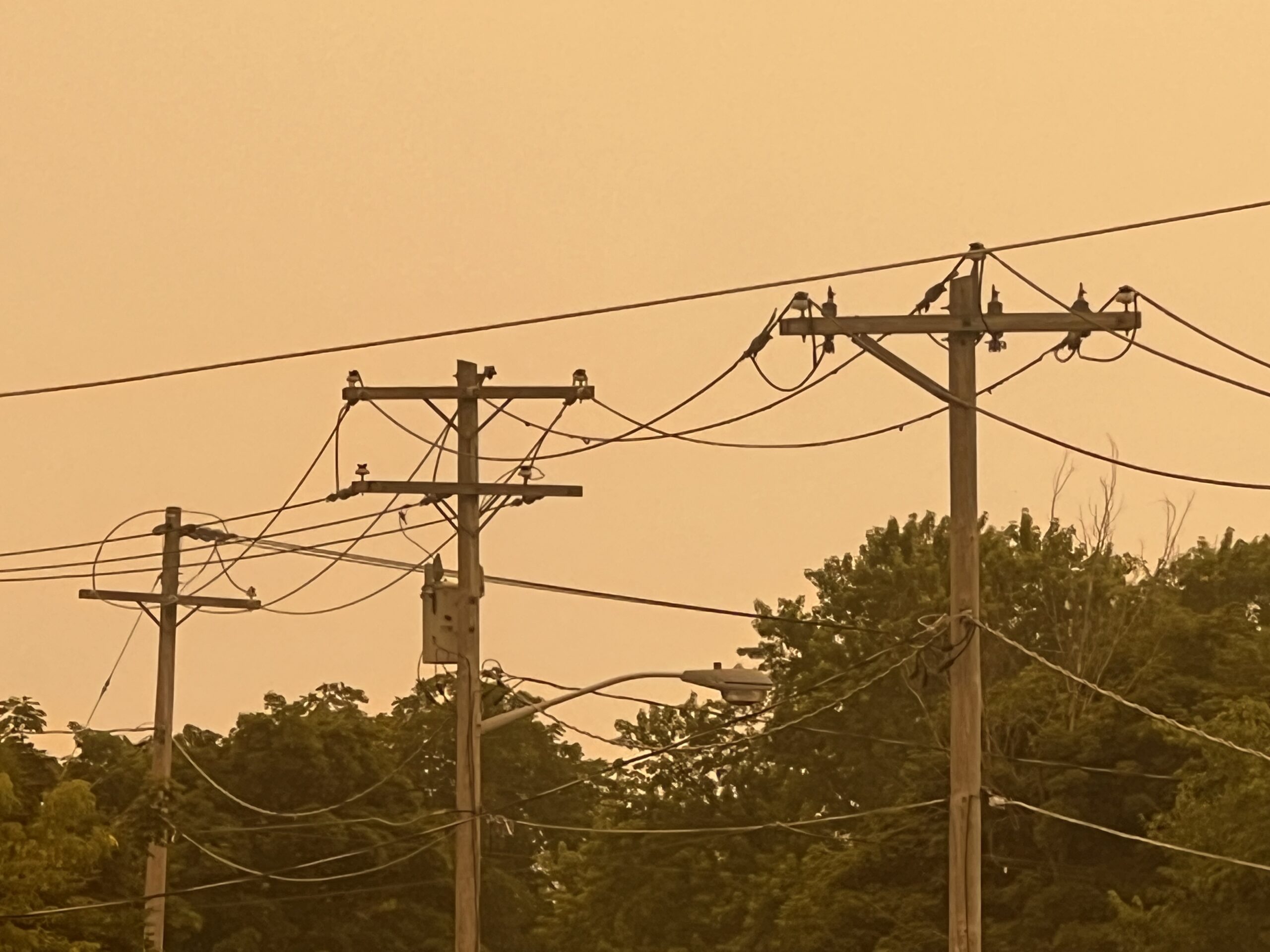 Utility poles and power lines silhouetted against an orange, smoke-filled sky in northern New York during Canadian wildfires.