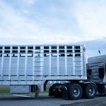 Live-Horse-Export-tuck-airport-credit-we-animals