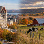 Editorial composite of the New York State Capitol beside a rural dairy farm with Holstein cows, a red barn and autumn foliage.