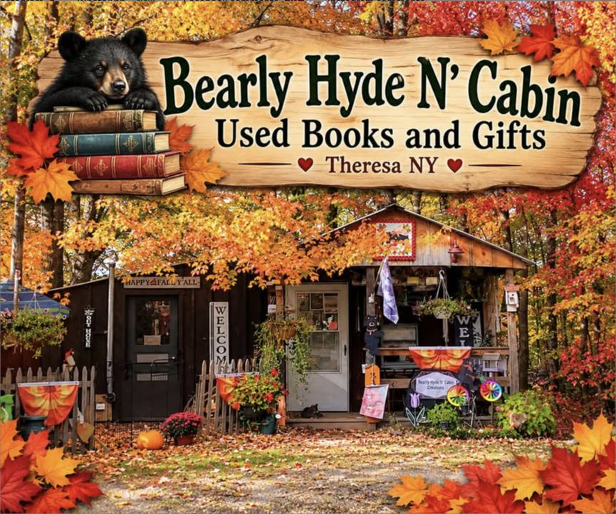 Bearly Hyde N’ Cabin Used Books and Gifts in Theresa, New York